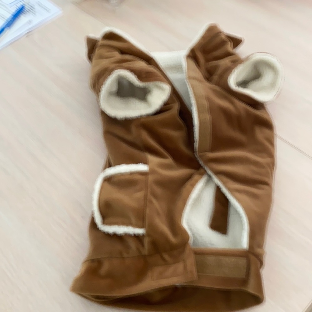 Dog coat